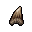  quara bone
